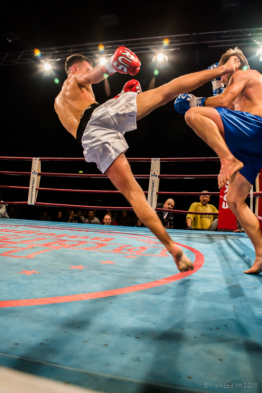 Gladiatori Reload 2015, BOLOGNA